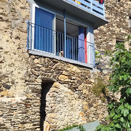 Appartement Chez Daniel Cevennes *