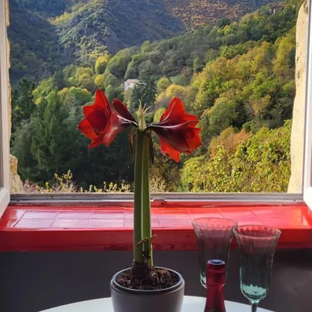 Chez Daniel Cevennes Appartement